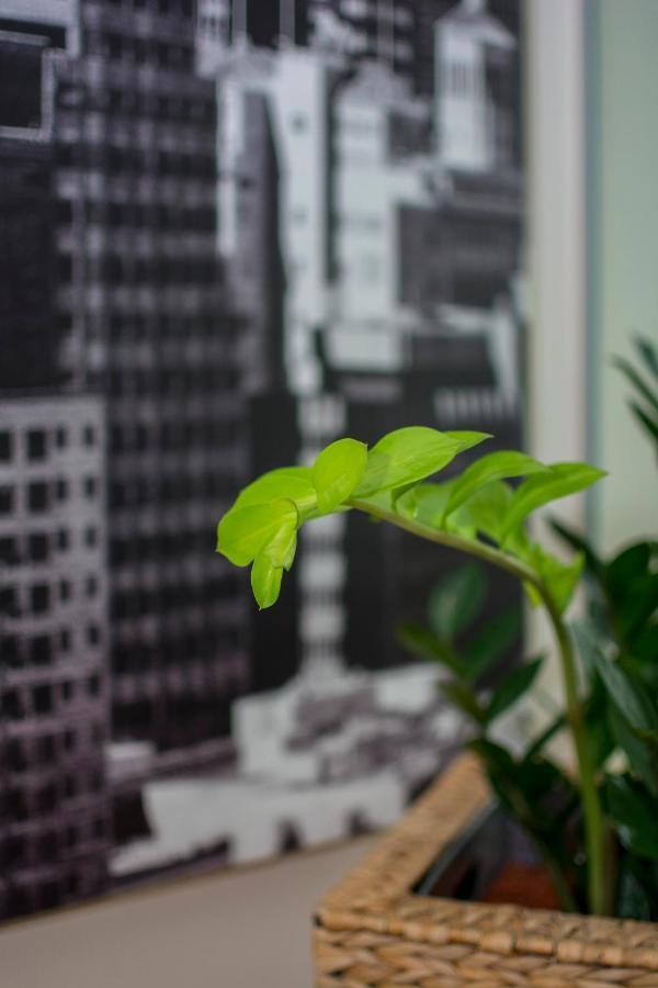 Lilienmatt Apartments 巴登-巴登 外观 照片